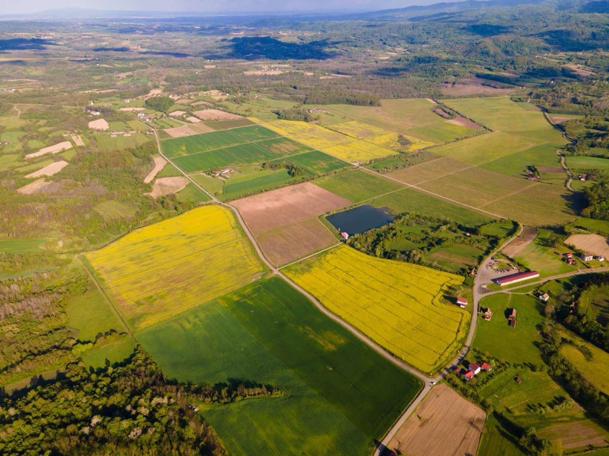 Pejzaž sa poljima i zasadima